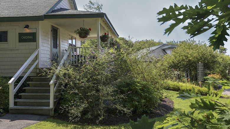 The image shows a quaint house with a porch, surrounded by lush greenery and plants. A small sign near the door reads 