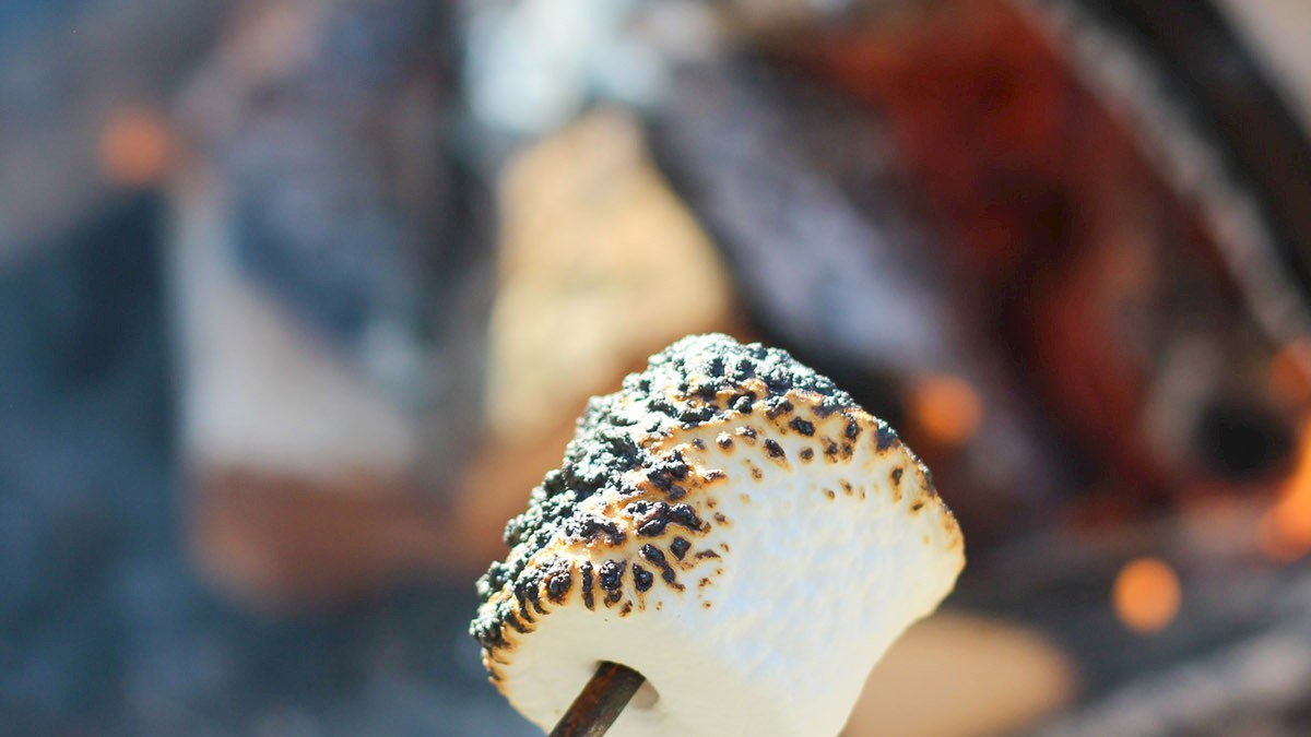 A toasted marshmallow on a stick is held near a campfire, with flames and logs visible in the background.