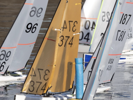 Several small, numbered sailboats float close together in the water, likely in a competitive event.