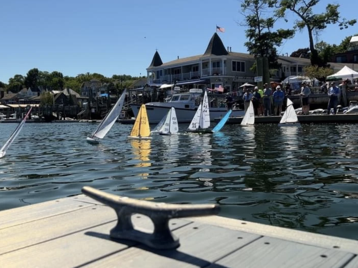 The image shows a dock with small sailboats in water, a shoreline with buildings, trees, and people in the background on a sunny day.