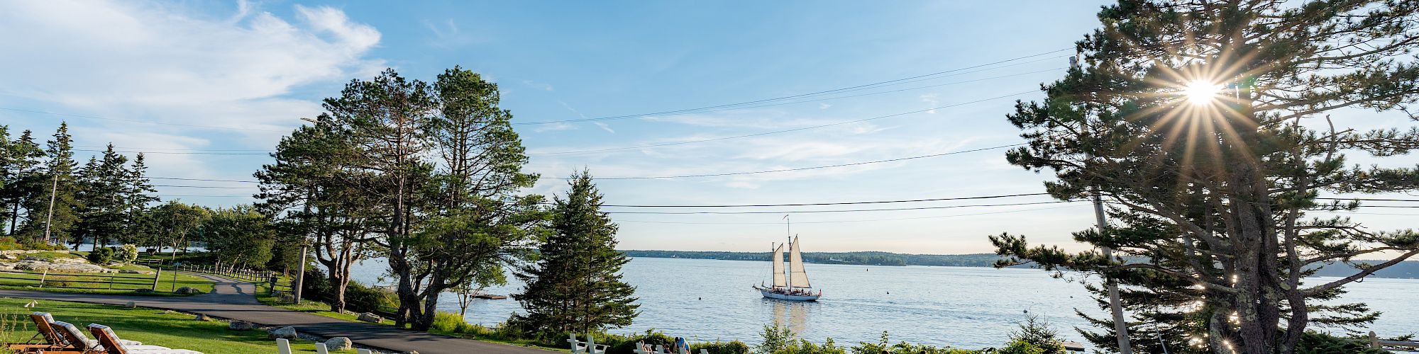 A scenic view of a park with chairs on the grass, a road, trees, and a sailboat on a large body of water beneath a sunny, blue sky.