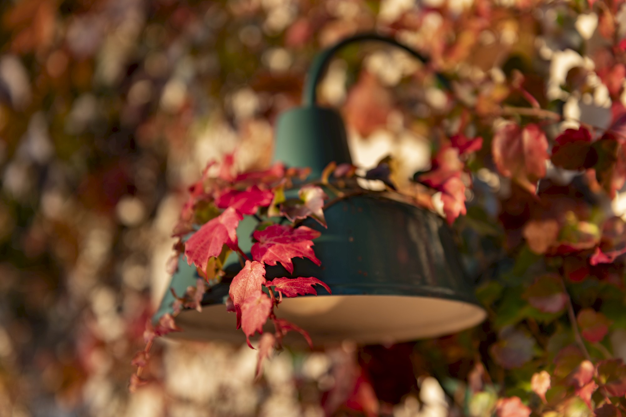 A teal outdoor lamp surrounded by vibrant red and orange autumn leaves, creating a warm and inviting atmosphere.