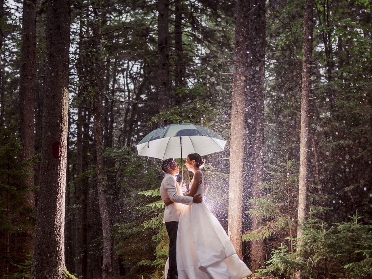 A couple stands under an umbrella in a forest, surrounded by tall trees and falling rain, creating a romantic and serene atmosphere.